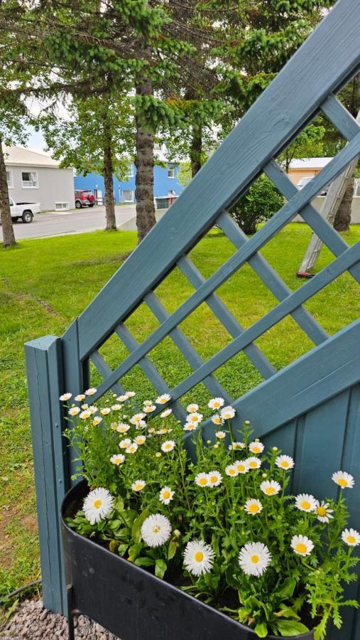 B&B Rooms Husavik 1 외부 사진
